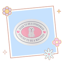 Load image into Gallery viewer, Ateez Yeosang 'Born to be a Doberman, Forced to be a Maltese' sticker, gift for KPop fan, Ateez merch