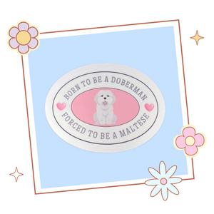 Ateez Yeosang 'Born to be a Doberman, Forced to be a Maltese' sticker, gift for KPop fan, Ateez merch