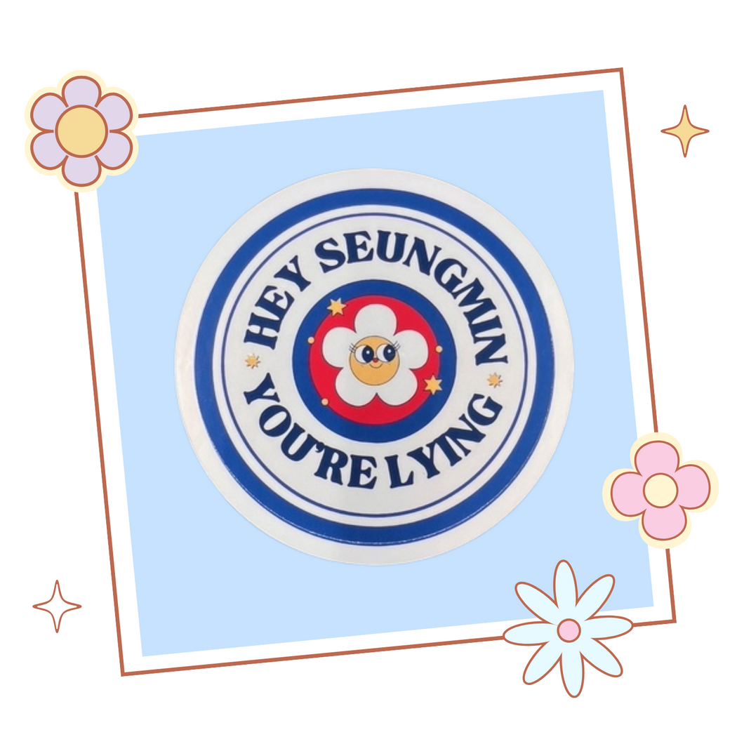 Stray Kids 'Hey Seungmin. You're Lying' sticker, gift for KPop fan, Stray Kids merch