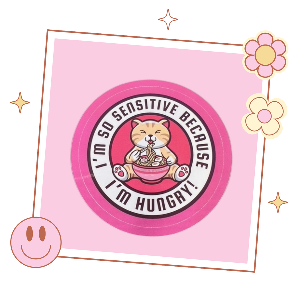 Stray Kids Changbin 'I'm so sensitive because I'm hungry!' sticker, gift for KPop fan, Stray Kids merch