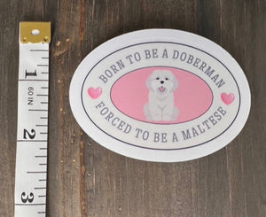 Ateez Yeosang 'Born to be a Doberman, Forced to be a Maltese' sticker, gift for KPop fan, Ateez merch